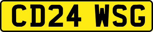 CD24WSG