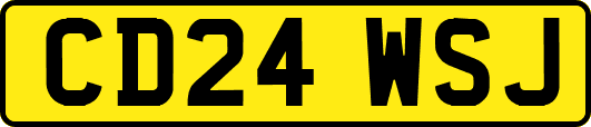 CD24WSJ