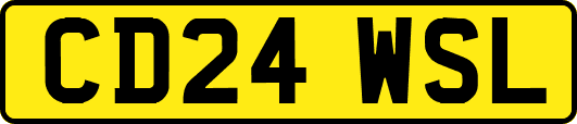 CD24WSL
