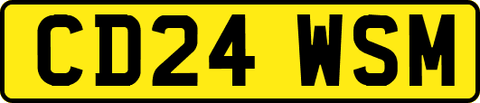 CD24WSM