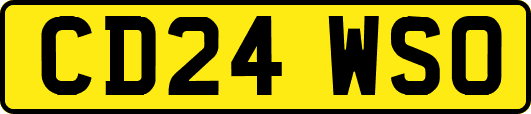 CD24WSO