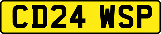 CD24WSP