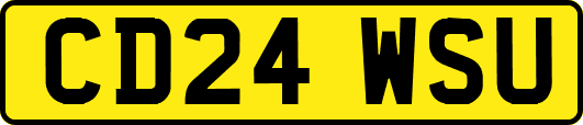 CD24WSU