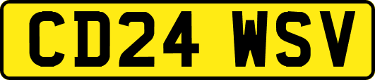 CD24WSV