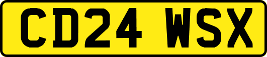 CD24WSX