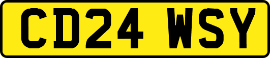 CD24WSY