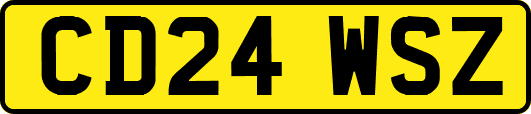 CD24WSZ