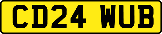 CD24WUB