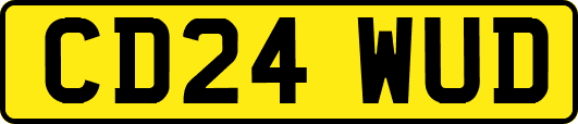 CD24WUD