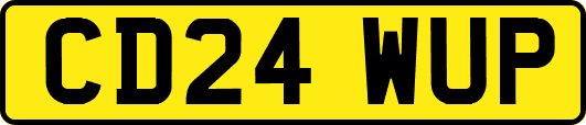 CD24WUP