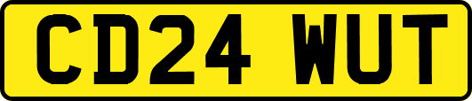CD24WUT