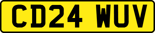 CD24WUV