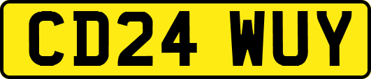 CD24WUY