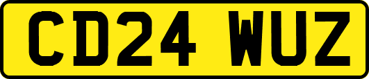 CD24WUZ