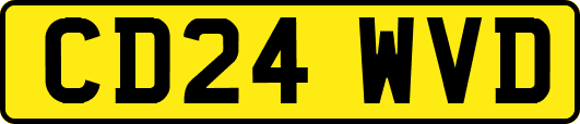 CD24WVD