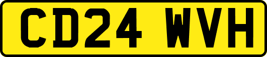 CD24WVH
