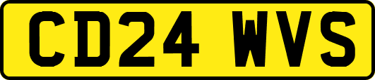 CD24WVS