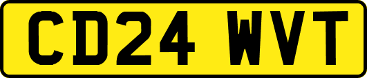 CD24WVT