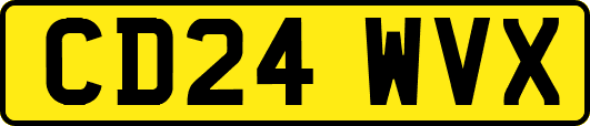 CD24WVX
