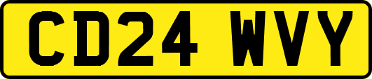 CD24WVY