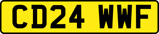 CD24WWF
