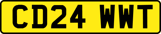 CD24WWT