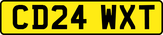 CD24WXT