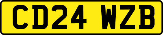 CD24WZB