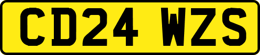 CD24WZS