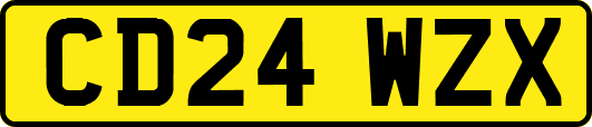 CD24WZX