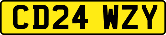 CD24WZY