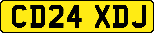 CD24XDJ