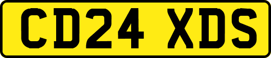 CD24XDS
