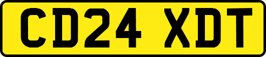 CD24XDT