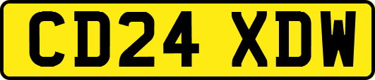 CD24XDW