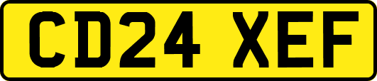 CD24XEF