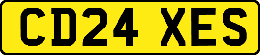 CD24XES
