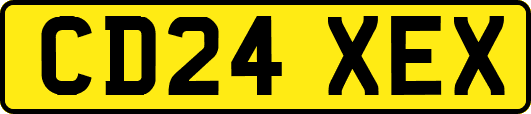 CD24XEX