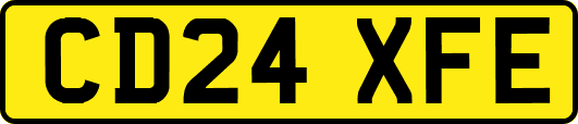 CD24XFE