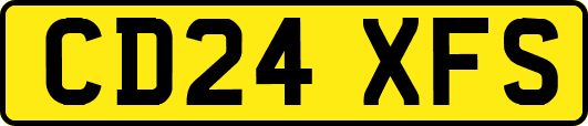 CD24XFS