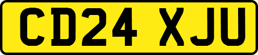 CD24XJU