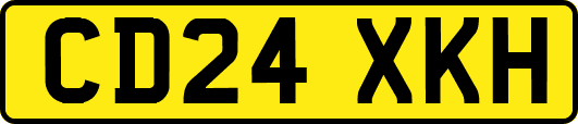 CD24XKH