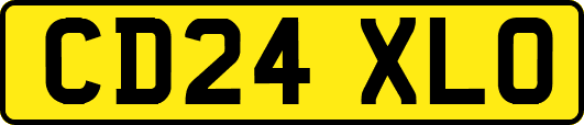 CD24XLO