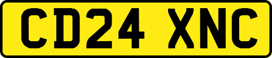 CD24XNC
