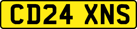 CD24XNS