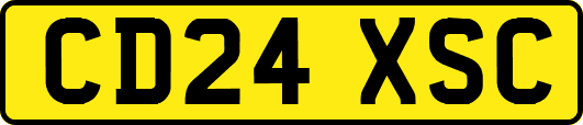 CD24XSC