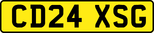 CD24XSG