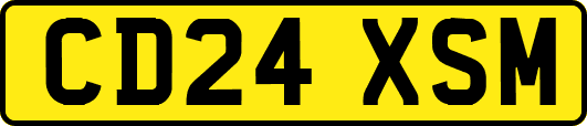 CD24XSM