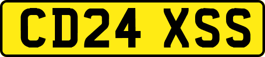 CD24XSS