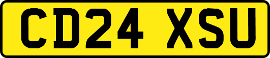 CD24XSU